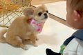 面白い動きで赤ちゃ…の画像