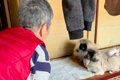 おばあちゃんに内緒…の画像