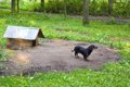 外飼いの犬のために…の画像