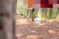 『ママっ子な犬』と…の画像