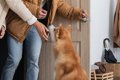 犬が飼い主の帰宅時…の画像