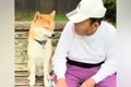 公園でおじいちゃん…の画像