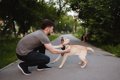 犬が飼い主に対して…の画像