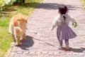 赤ちゃんの頃から大…の画像