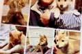 『10年間、自分を愛…の画像