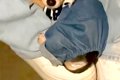 ビビりな赤ちゃん犬…の画像