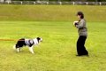 『めっちゃ痛そうで…の画像