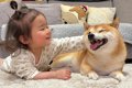 ハイハイをする1歳の…の画像
