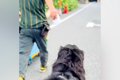 『クロネコヤマト配…の画像