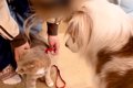 実家の猫が『初めて…の画像