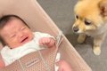 夜10時、寝室に移動…の画像