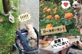 愛犬と一緒に軽井沢♡…の画像