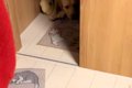 深夜、明日の遠足が…の画像
