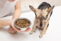 犬が突然『食欲を失…の画像