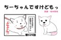 ちーちゃんですけど…の画像