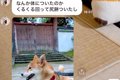 家族から『犬が動か…の画像