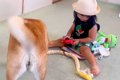 ソリで遊ぶ2歳の女の…の画像