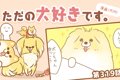 ただの犬好きです。…の画像