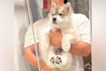 『腕もげるかと思っ…の画像