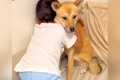 男の子たちに『犬が…の画像