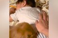 預かっていた『2歳の…の画像