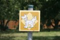 犬が人に『おしっこ…の画像