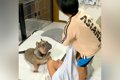 男の子2人が『毛布の…の画像