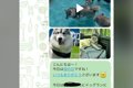 お義母さんに『大型…の画像