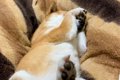 夜、『まだ寝たくな…の画像
