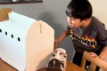 何年も前から『犬が…の画像