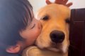 5歳の男の子が『大型…の画像