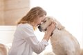 『犬を飼うと結婚で…の画像