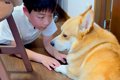 大好きなお兄ちゃん…の画像