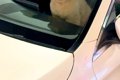 1分間だけ『犬に車で…の画像