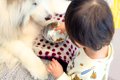 赤ちゃん『大型犬の…の画像