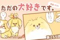 ただの犬好きです。…の画像