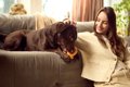 犬が『新しいモノ』…の画像