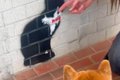 猫のことが大好きな…の画像
