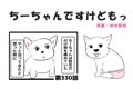 ちーちゃんですけど…の画像