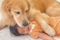 1歳の女の子が『大型…の画像
