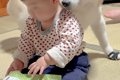 『赤ちゃんのやるこ…の画像