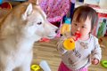 『ラッパのおもちゃ…の画像