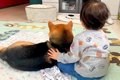 『小さな男の子と犬…の画像