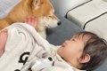 １歳の女の子が『ワ…の画像