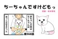 ちーちゃんですけど…の画像