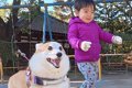 男の子が『犬と一緒…の画像