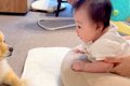 赤ちゃんが『うつ伏…の画像