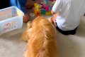 ブロック遊びをして…の画像