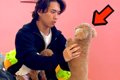 保護犬カフェに『実…の画像