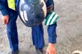 ドッグラン閉鎖で悲…の画像